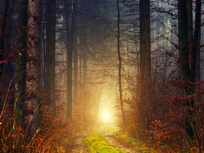 Em alguma medida o natural nos fornece um parâmetro, um paradigma que nos projeta e no qual nos projetamos