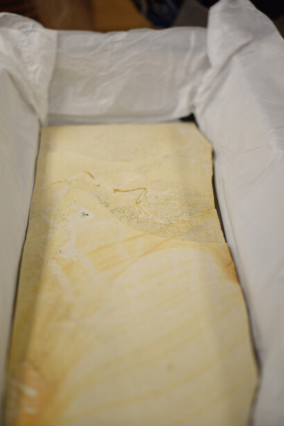 Unprepared slab on the day of
its arrival in August 2022. Courtesy of Field Museum