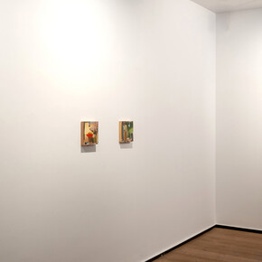 Carlos Sagrera, Antropoceno, exhibition view. Courtesy of Rafael Pérez Hernando Gallery