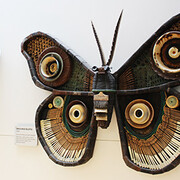 Hallway Exhibitions. Courtesy of COSI Columbus' Dynamic Hands-On Science Center
