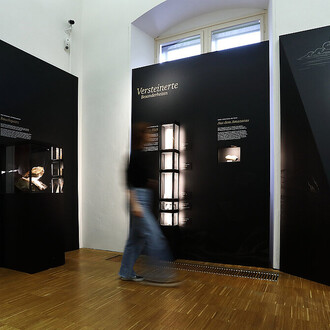 Fascinating treasures, exhibition view. Courtesy of the Natural History Museum