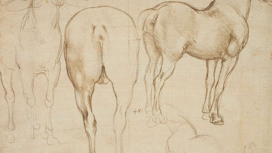 Leonardo da Vinci Studies of a Horse, c. 1490 Metalpoint (probably silverpoint) on pale buff prepared paper, 19.9 × 28.5 cm Lent by Her Majesty Queen Elizabeth II