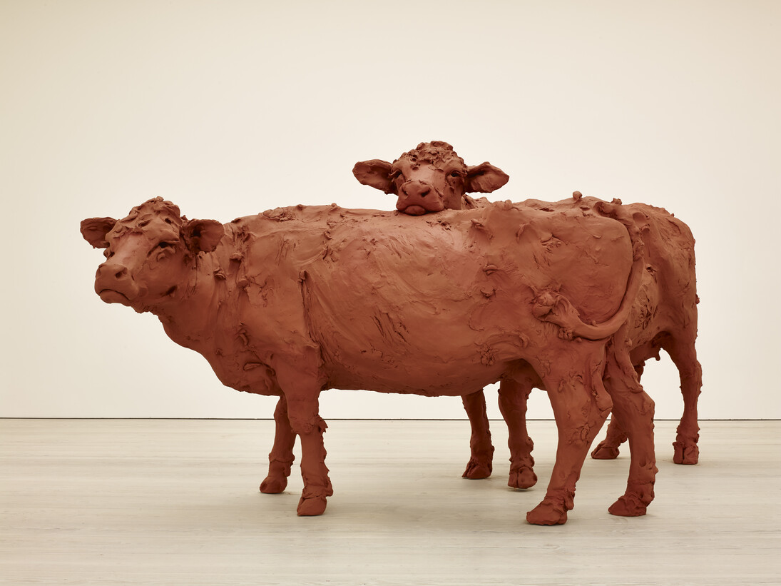 Stephanie Quayle Two Cows 2013 Air-hardening clay, chicken wire, steel 230 x 340 x 170 cm, Image courtesy of the Saatchi Gallery, London