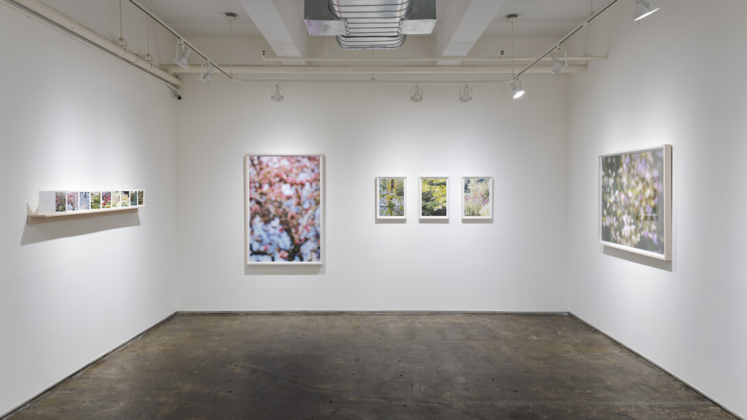 Maxine Henryson, Frequently the woods are pink, 2023, exhibition view,  A.I.R. Gallery, Brooklyn, NY, photo by Sebastian Bach. Courtesy of the artist and A.I.R. Gallery