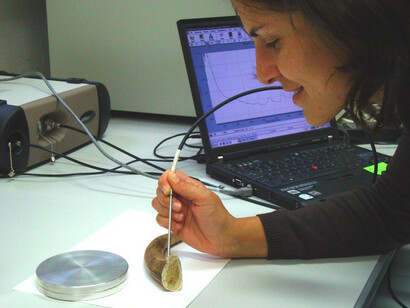 The Past Under a Microscope. Courtesy of National Museum of Slovenia