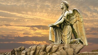 Meet the Angels