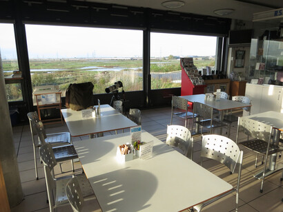 Cafe overlooking reserve at RSPB Rainham Marshes © Gehan de Silva Wijeyeratne