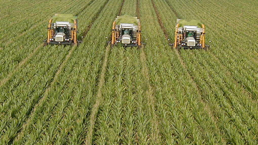 Aratura meccanica in Israele