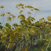 Seeing this place, artwork in exhibition (detail). Courtesy of Salamanca Arts Centre 