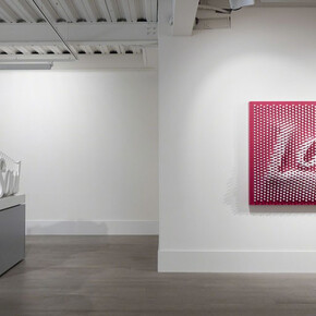 Ramin Shirdel, Exhibition view. Courtesy of Sophia Contemporary