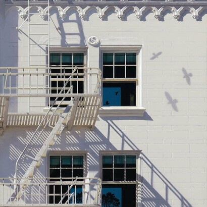 Lynette Cook,
Lightness of Being (detail),
acrylic on canvas, 48 x 30 inches, 2024. Courtesy of the artist and Andra Norris Gallery