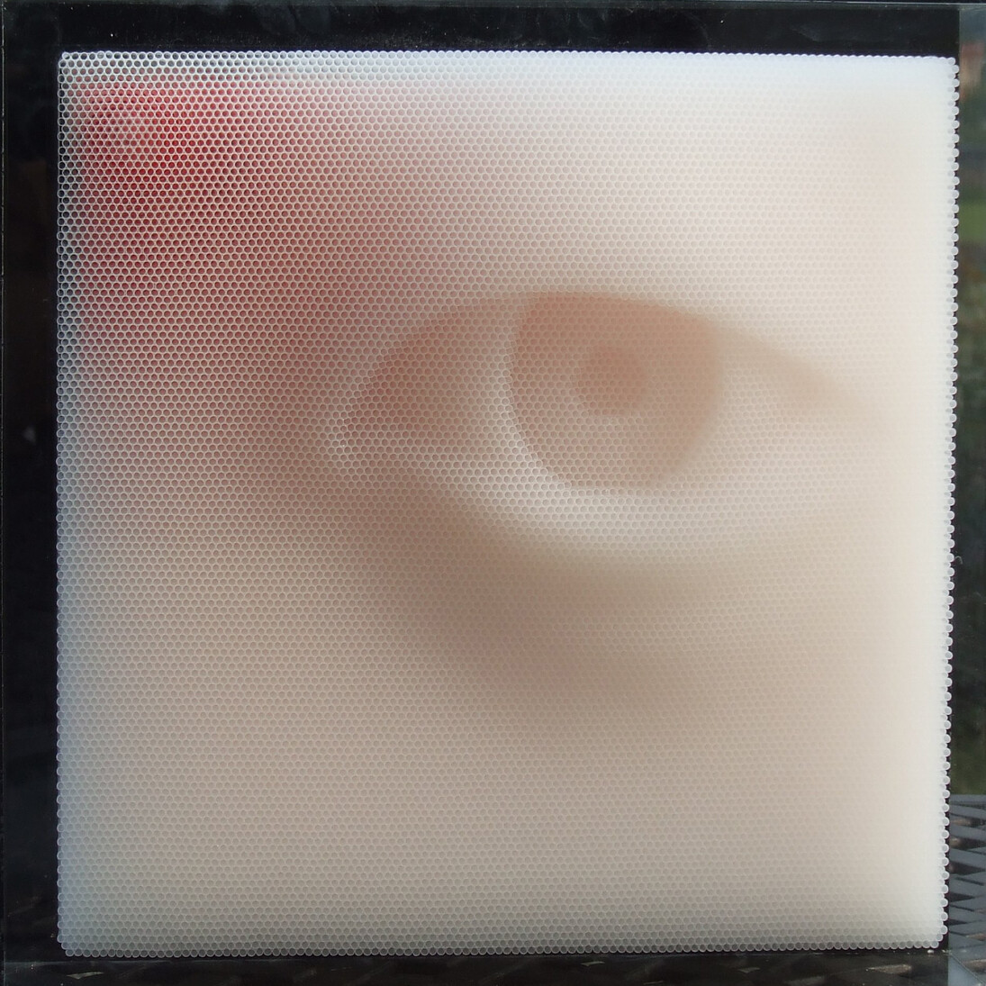 Sangsik Hong, See II