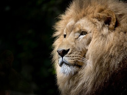 Valutazioni precise potranno essere fatte solo nel corso del tempo, quando però potrebbe essere troppo tardi per alcune specie