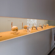 Gestern… zwischen Mittelmeer und Nordsee, Ausstellungsansicht. Mit freundlicher Genehmigung des Laténium