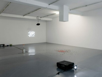 Carsten Höller, Turn, fly, fall, fly, exhibition view. Courtesy of Galerie Micheline Szwajcer