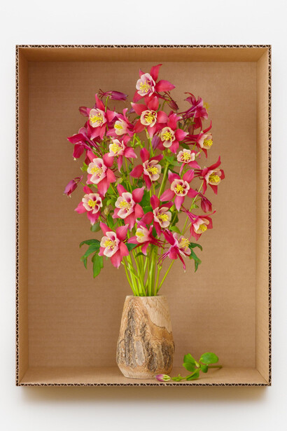 © Daniel Handal; “Red Hobbit Columbine (Rustic Wood),” 2023; pigment print on gesso-coated aluminum, painted museum box (Edition of 3 + 2 APs); 16x12x1.5 inches. Courtesy of the artist and Clamp Gallery, NYC