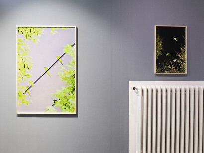 Yoshinori Mizutani. Courtesy of Christophe Guye Galerie