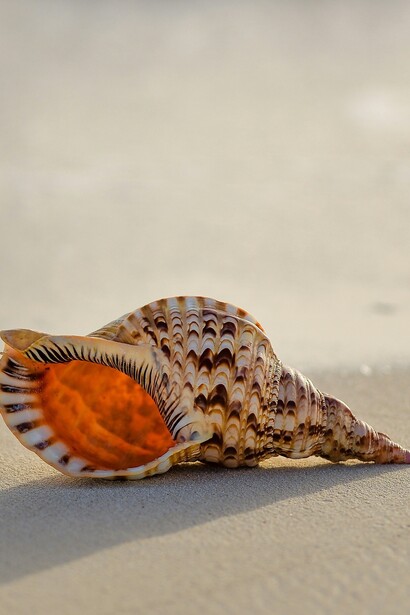 Non andare dietro a chi dice che si deve andare veloce, il tempo non è rapidità ma saggezza e riflessione