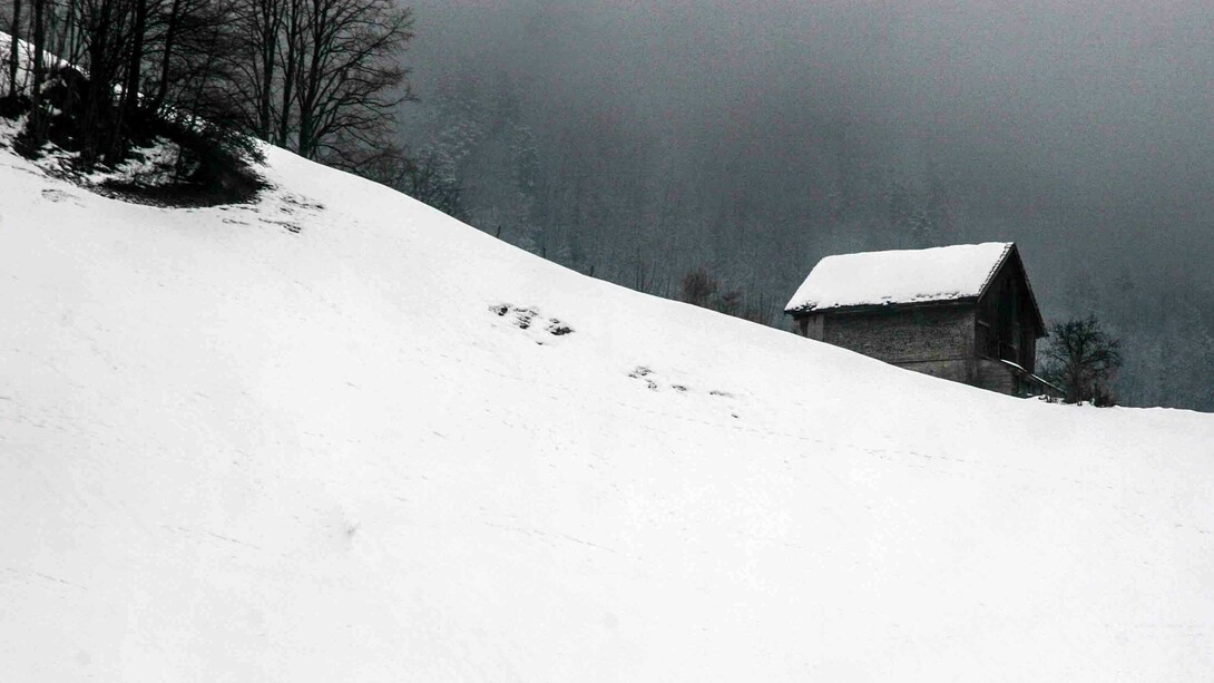Winter day