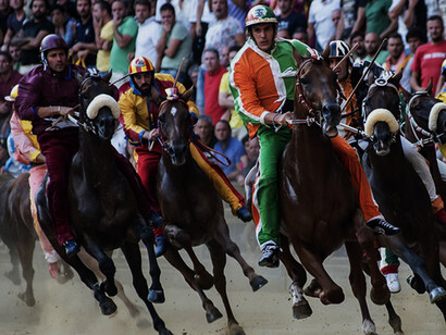Palio di Siena