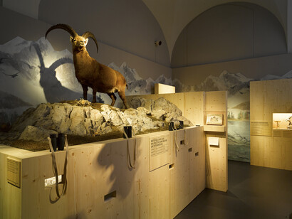 Observe ibex through the peepholes.
© Swiss National Museum
