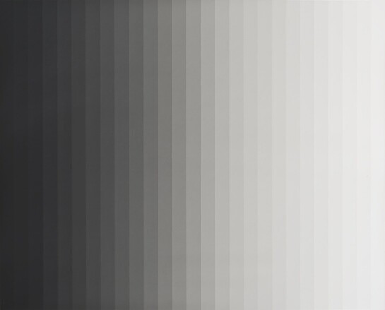 Iran do Espírito Santo, Untitled (Photogram 3 - Vertical), 2013, Photogram, 86 x 103 cm / 33 7/8 x 40 1/2 ins, © The Artist; Courtesy Alison Jacques Gallery, London; Photography Michael Brzezinski