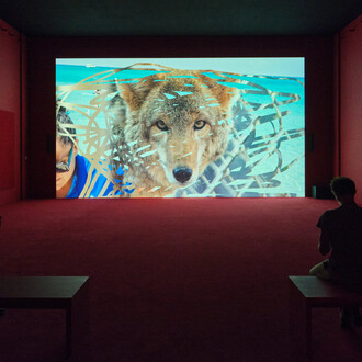 Camille Henrot, In the veins, vue de l'exposition. Avec l'aimable autorisation de LUMA Arles