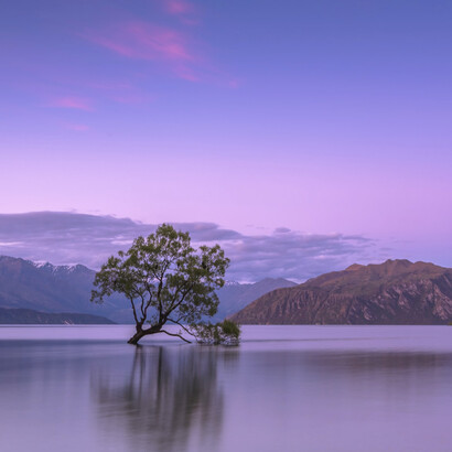 Es mucho más sano aceptar que eres único o única que pretender ser como alguien
