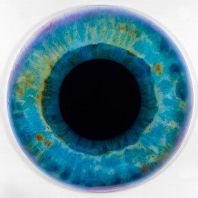 Marc Quinn, Iris (We Share Our Chemistry With the Stars) A200L DIL, 2009, Oil on canvas, 78 3/4 x 78 3/4 in, 200 x 200 cm