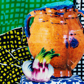 Daniel Gordon, "Onions and Mackerel" (detail), 2015, Courtesy: onestar press et l'artiste
