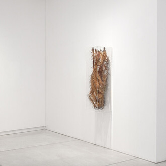 Georgia Russell, The sea around us, ausstellungsansicht. Mit freundlicher genehmigung der Galerie Karsten Greve