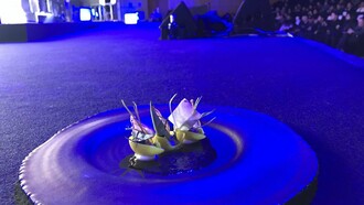 Jonnie Boer invitó a los presentes a vivir una experiencia multisensorial