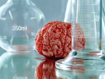 Once a symbol of memory and mortality, now a reference point for lab-grown organoids edging toward awareness