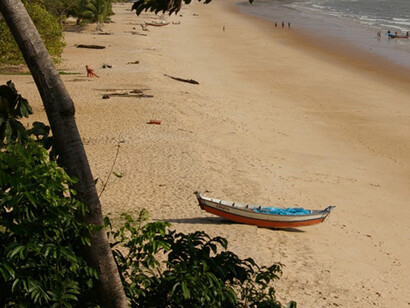 Paisagem da Ilha de Marajó. A ilha de Marajó, para quem não conhece, fica localizada no estado do Pará, na região norte do Brasil