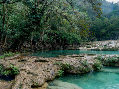 View of Semuc Champey, ph. Willy Castellanos