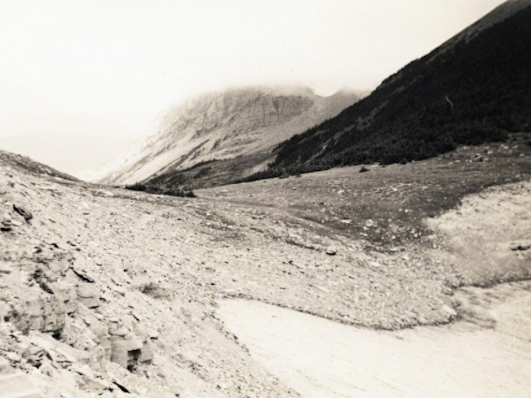 The Origins of Grey. Courtesy of Pierogi