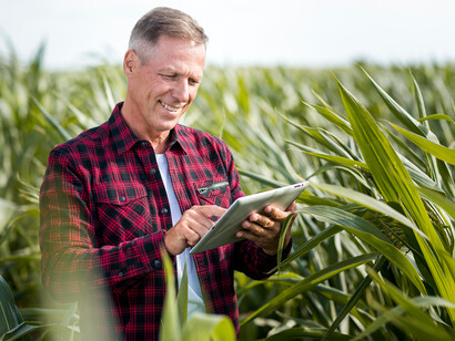 Profissional analisando plantação. Será uma nova virada do ciclo económico digital, neste século?