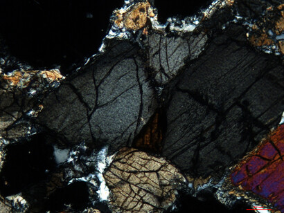 Petrology Collection. Courtesy of Sedgwick Museum of Earth Sciences