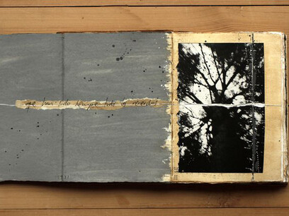 Juanan Requena, Diary #39  - 10