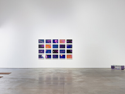 Various artists, Trait transference, exhibition view. Courtesy of 303 Gallery