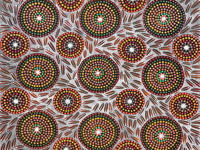 Bush garden, artwork in exhibition. Courtesy of Japingka Gallery 