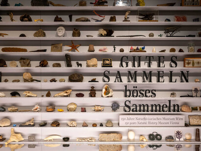 Gutes sammeln, böses sammeln, ausstellungsansicht. Mit freundlicher genehmigung des Naturhistorischen Museums Wien