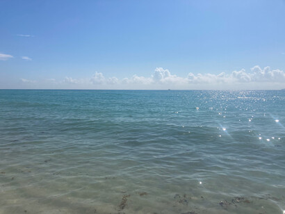 The sun glistens off the water of the sea