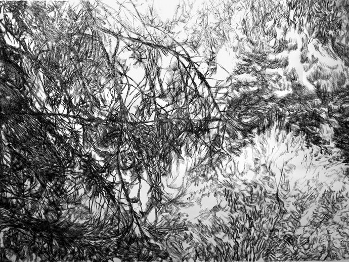 Elli Koutsoukelli, Untitled, charcoal on paper, 150 x 200 cm