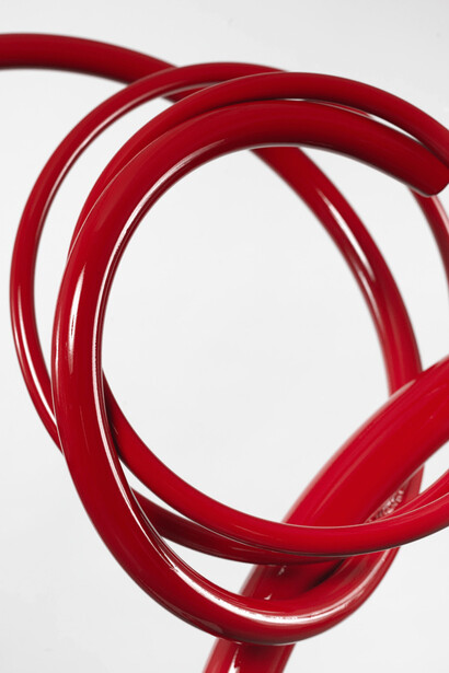 John Clement, Dino Print, 2023. 24 x 36 x 1 in, Large Format Photo detail of the Sculpture Dino, Framed. Courtesy of the artist and Leila Heller Gallery