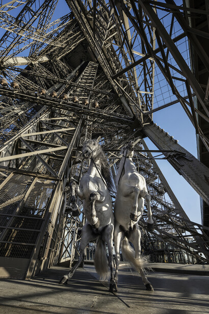 Paola Pivi, “Yee-Haw (si imbizzarriscono)”, 2015, Digital Print mounted on dibond and
diasec. Photography by Hugo Glendinning, 245 x 180 cm / 96 29/64 x 70 3/4 in, Courtesy Galerie Perrotin