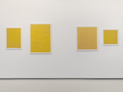 Eyeful, installation view. Courtesy of Noga Gallery 