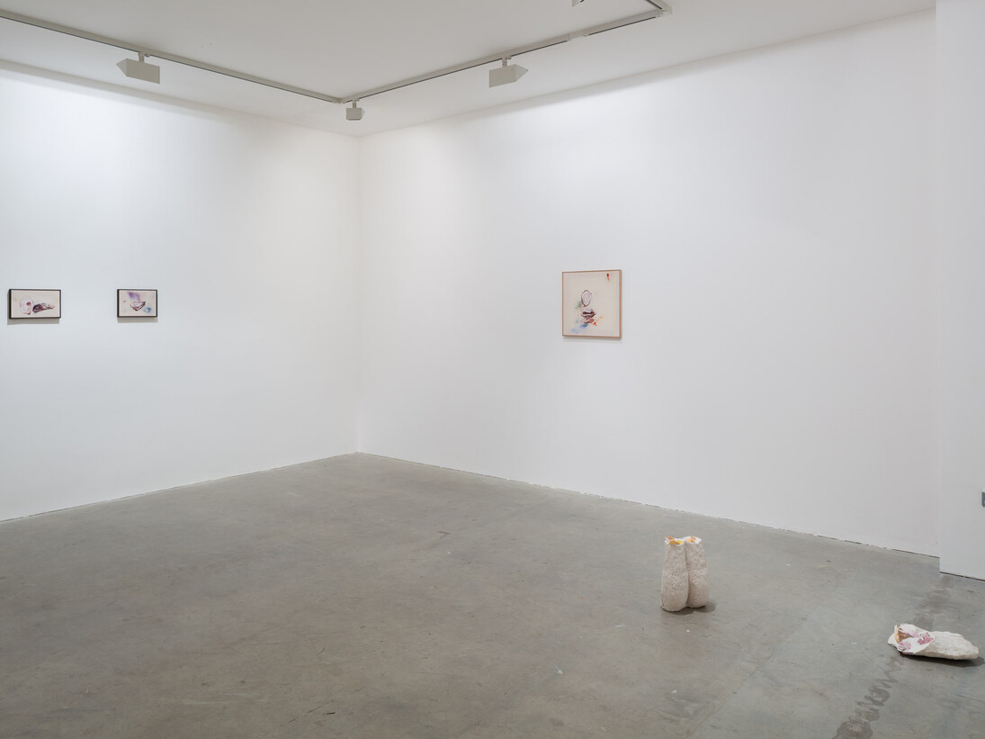 Neue Alt Brücke presents Anna Zacharoff, Thumb of the Diver, 2014, Vilma Gold, London, Installation View, Courtesy Vilma Gold, London
