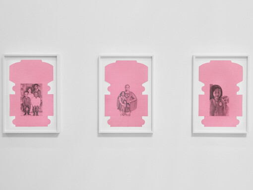 Phung Huynh, Bite the hand that feeds you, exhibition view. Courtesy of Luis De Jesus Los Angeles