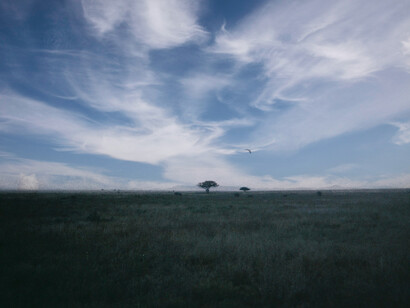 Tanzanie. Le murmure de la lumière et dans la transition infinie de chaque image